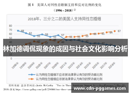 林加德调侃现象的成因与社会文化影响分析