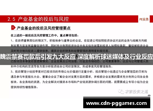 魏震禁赛罚款后引发九大反应 深度解析球迷媒体及行业反应