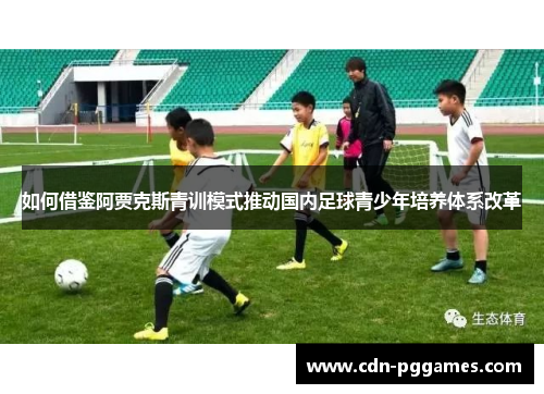 如何借鉴阿贾克斯青训模式推动国内足球青少年培养体系改革