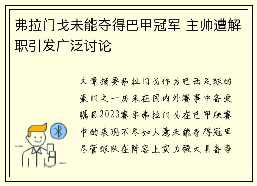 弗拉门戈未能夺得巴甲冠军 主帅遭解职引发广泛讨论